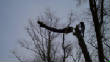 2011improvementsandotherpics/treetopping.jpg