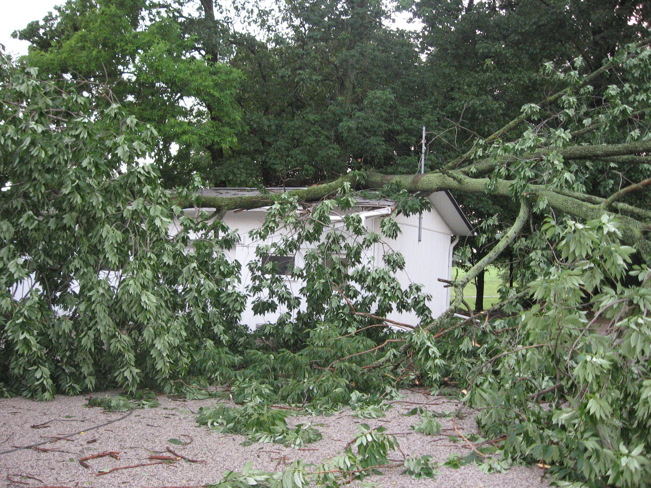 stormdamage07/Fromalittlefurtheraway.JPG