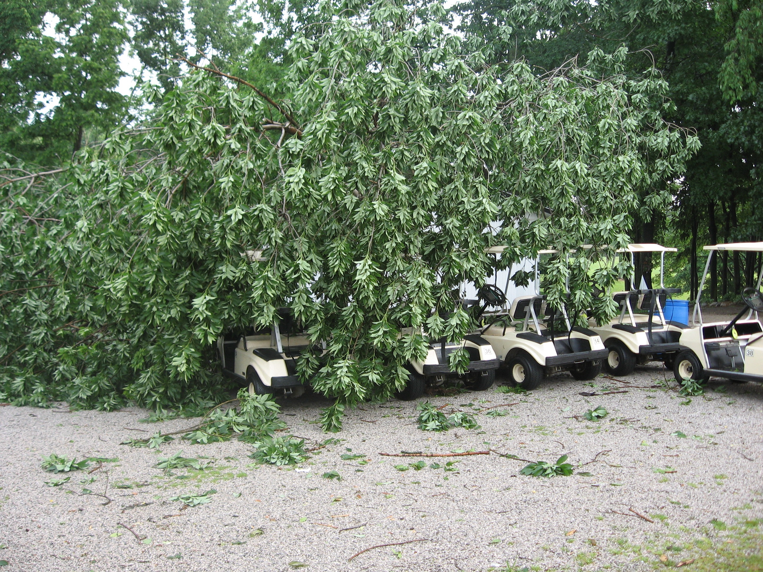 stormdamage07/Walkingonlytoday.JPG